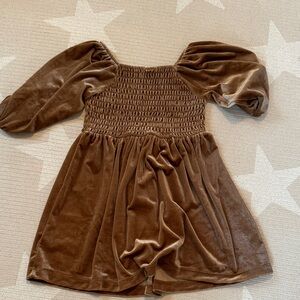Brown Velvet Puff Sleeve Dress